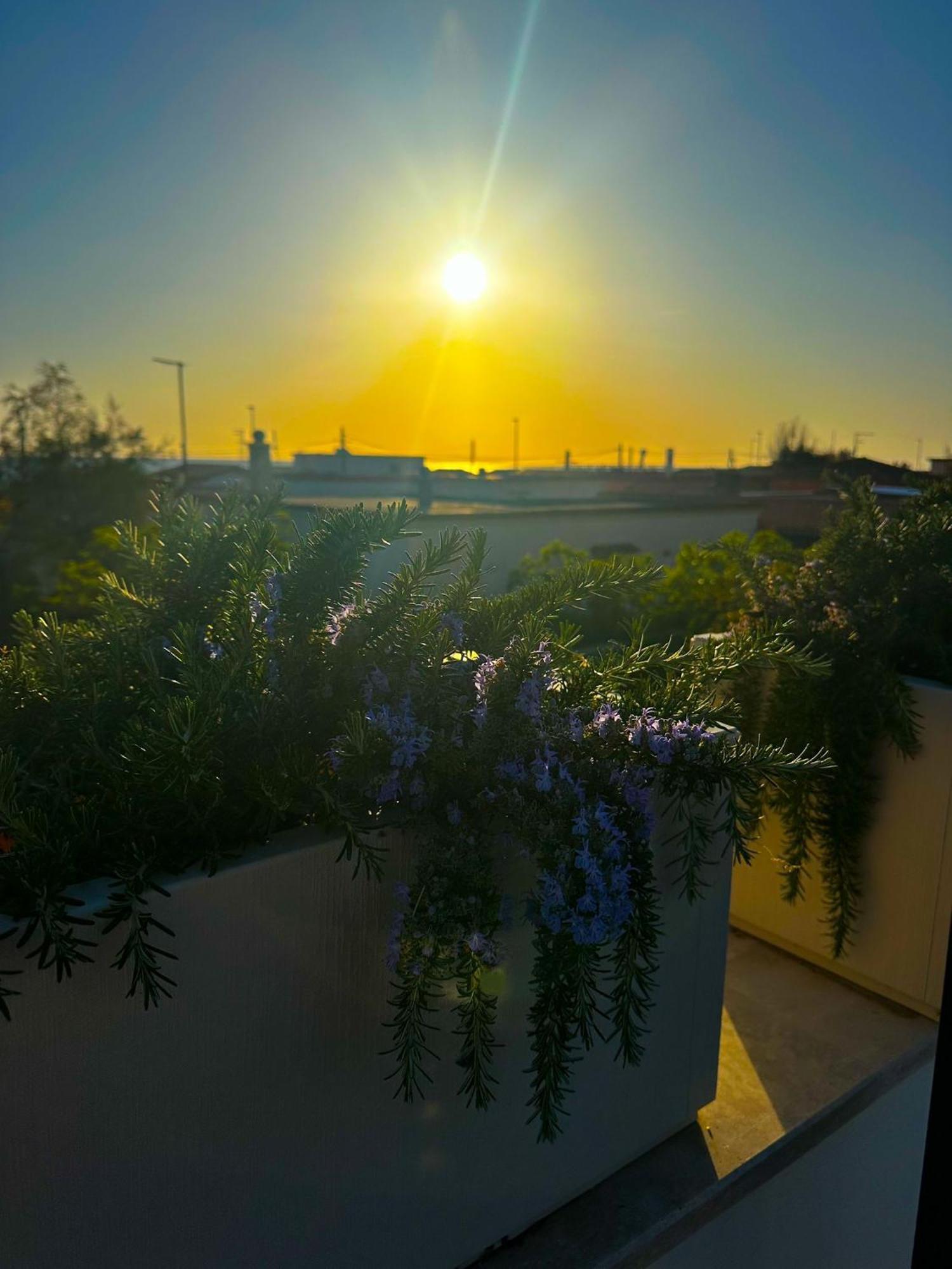 Luxury Apartments Collection Sand Suite Passoscuro Esterno foto